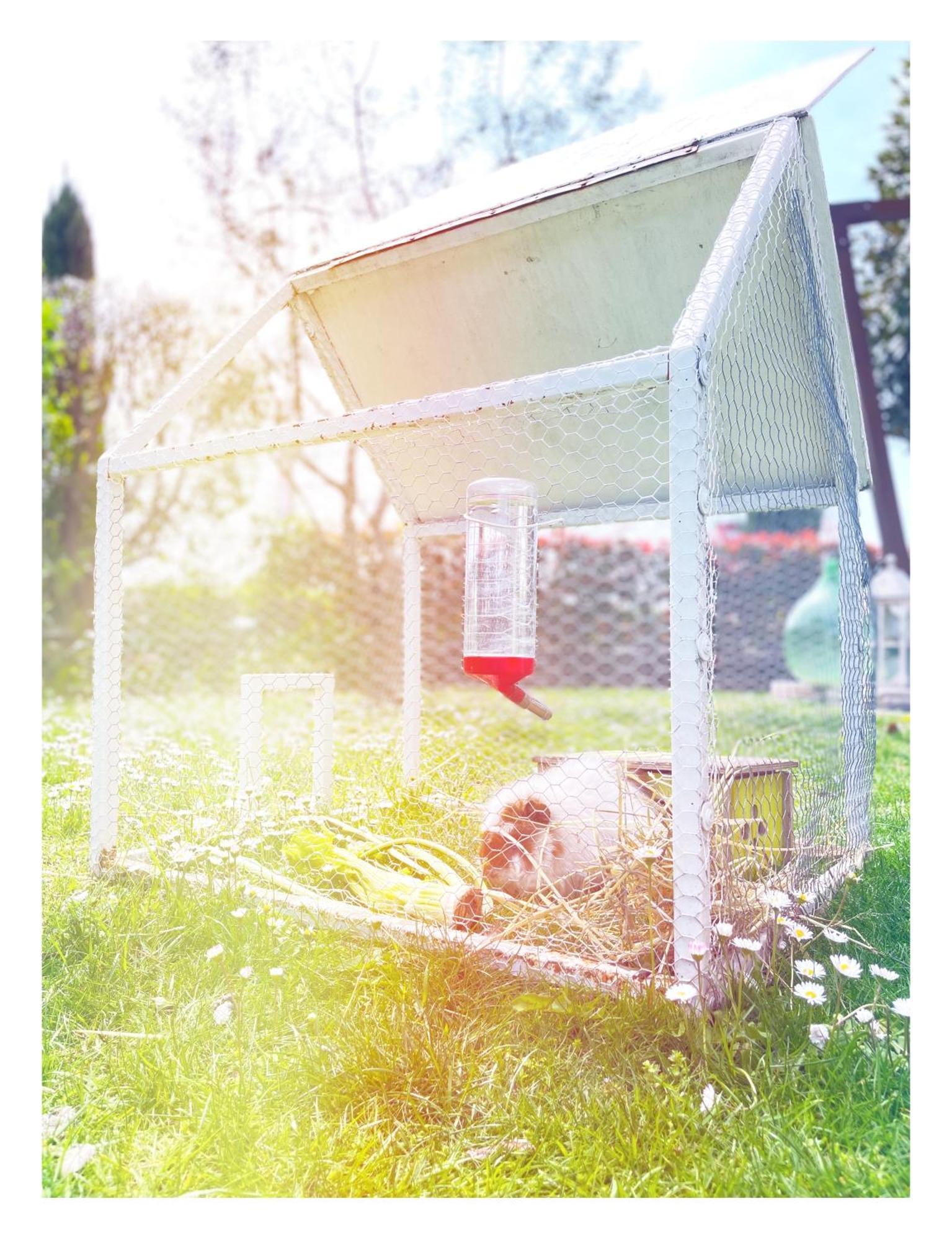 Bed & Breakfast Dolce Olga *